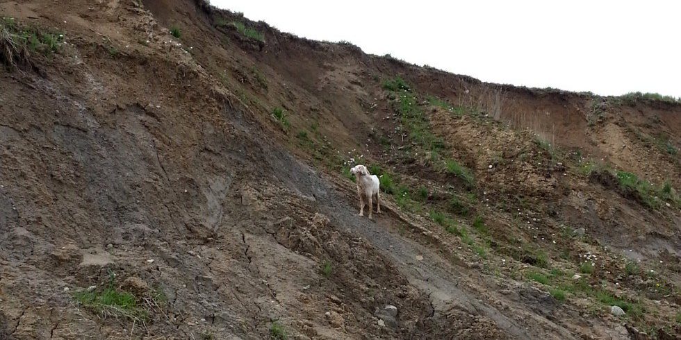 Wie erreiche ich eigentlich meine Ziele