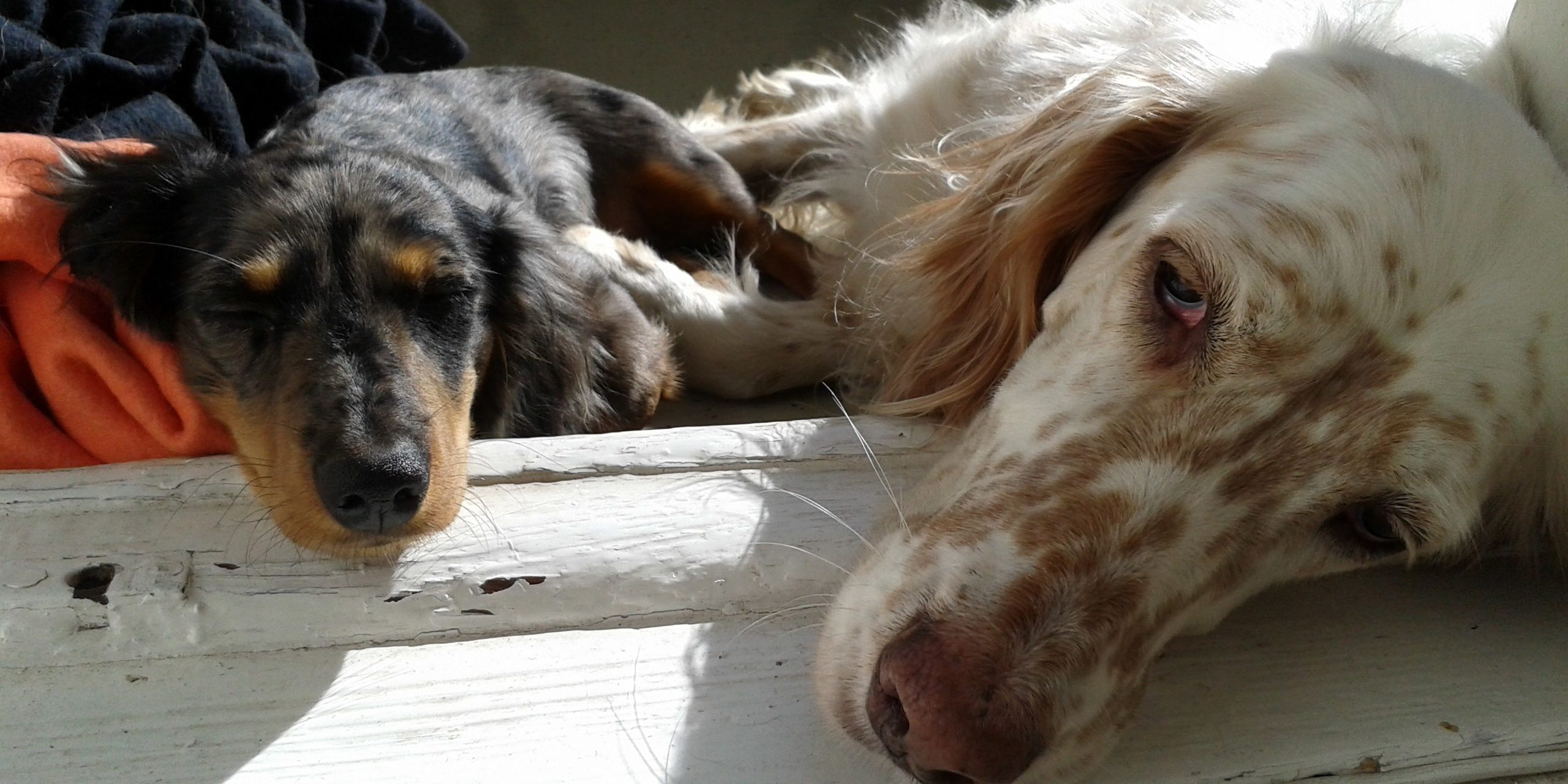 Ich muss gar nichts.