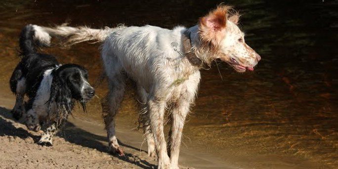 Die Sache mit den Projekten