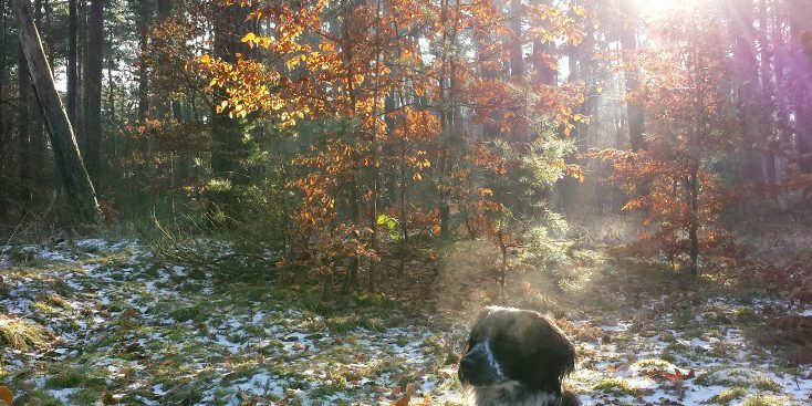 Ich nehme mir nicht frei