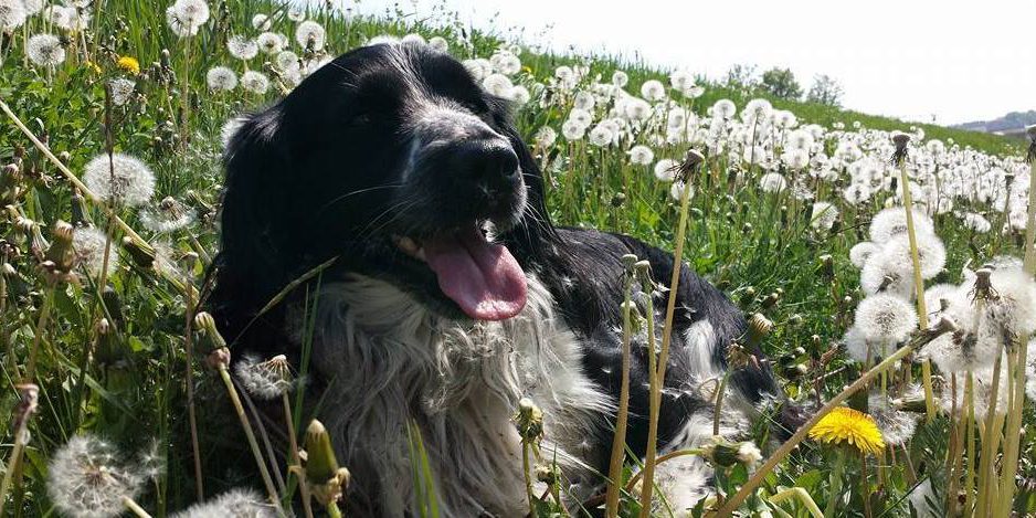 Wenn du erfolgreich sein willst