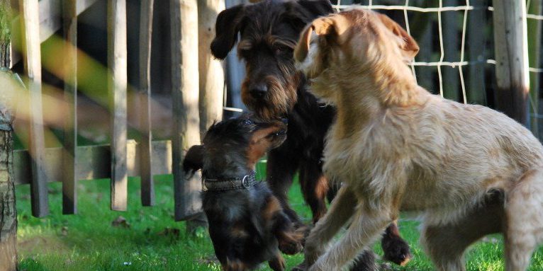 Mit der Konkurrenz umgehen