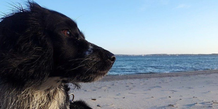 Beratung kann frustrierend sein