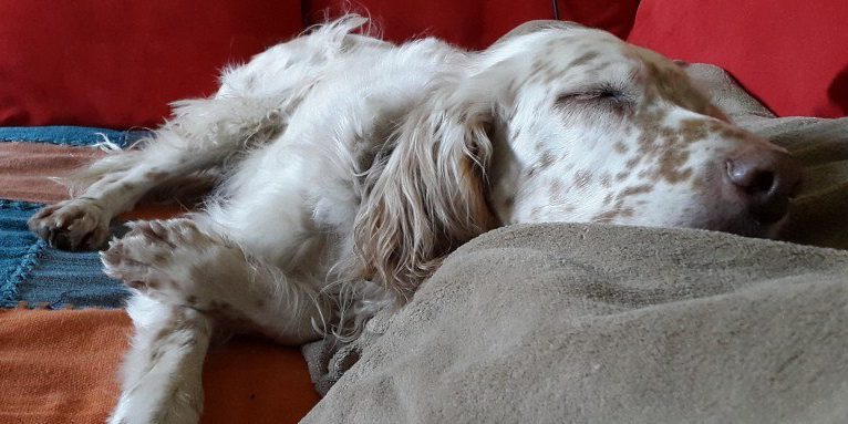 Entspannt-dokumentieren