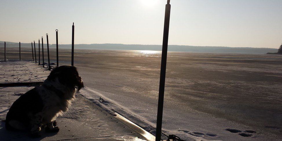 Gestalte dein neues Jahr