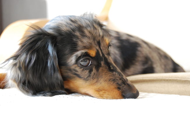 Foto 03.10.13 13 02 11