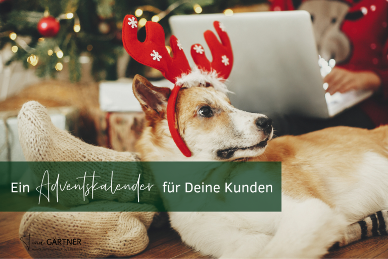 Blog Hundeunternehmer Club